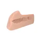 PDX Plus - Perfect Pussy Dream Stroker - perfekcyjny masturbator, realistyczna cipka