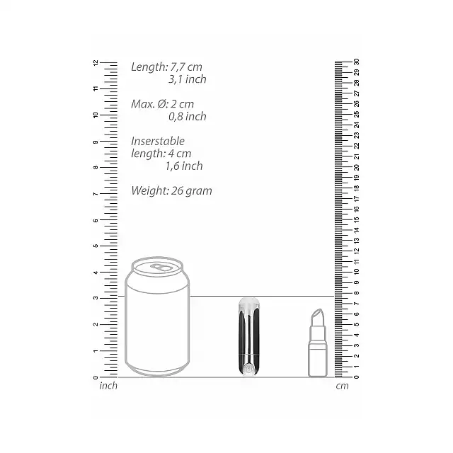 36-BGT006SIL_02