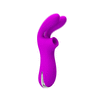 BI-014601_06.gif