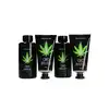 36-PHA248