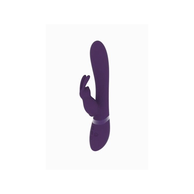 36-VIVE042PUR.gif