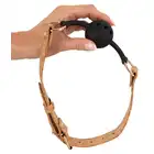 24933655001_3