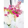 17508_FUCHSIA_06