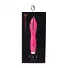 17508_FUCHSIA_02