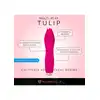17508_FUCHSIA_05