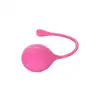 13536_PINK_09