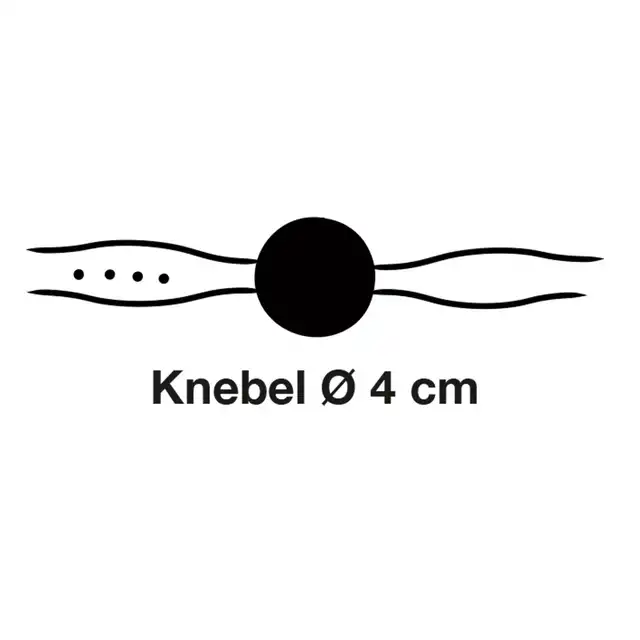 24931791001_11