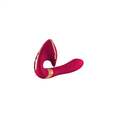 SHUNGA SOYO RASPBERRY