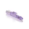 30-12458-X-PURPLE_04
