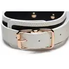 Master Series - Kink in the Dark Collar &amp; Belt. Zestaw obroży ze smyczą w biało-złotej kolorystyce. Materiał świecący w ciemności!