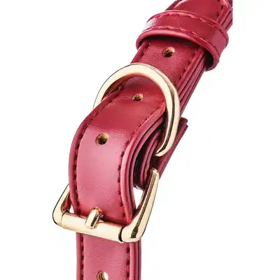 BLAZE ELITE BALL GAG RED