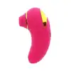 11108_FUCHSIA_04