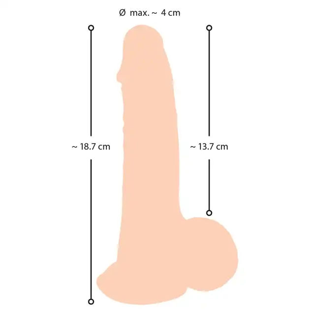 05548120000_10