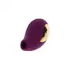 11106_PURPLE_05