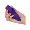 Calexotics - Remote Suction Panty Teaser Purple - wibrator do majtek ze zdalnie sterowanym pilotem. Wyposażony w przyjemne ssanie