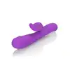 30-12256-X-PURPLE_02