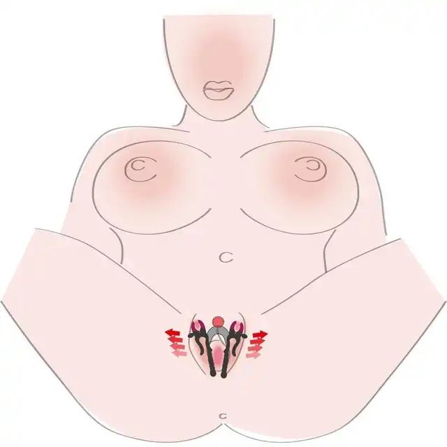 You2Toys - Intimate Spreader Strong . Wytrzymały i ergonomiczny klips do pochwy rozchylający wargi sromowe. Odsłania łechtaczkę. 