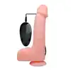 BW-008074ZSY