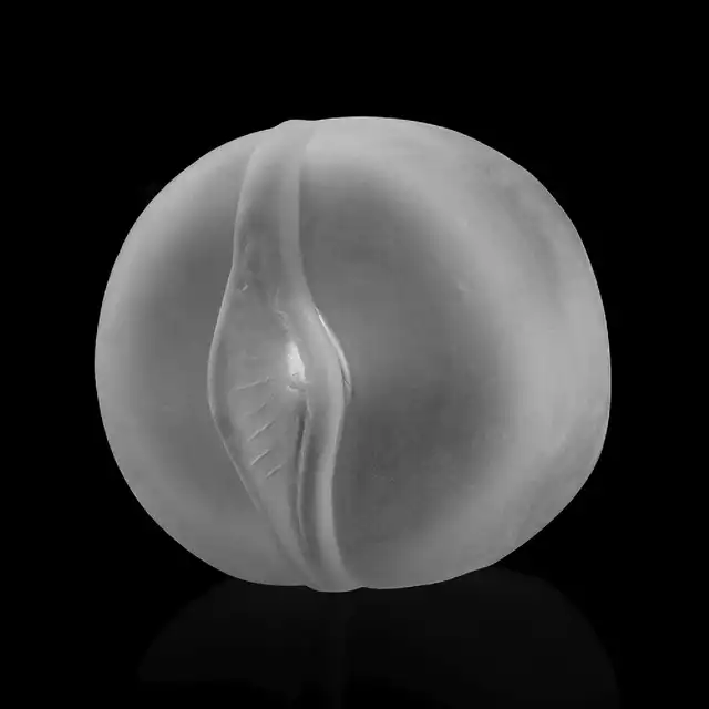 10-361021-01_4