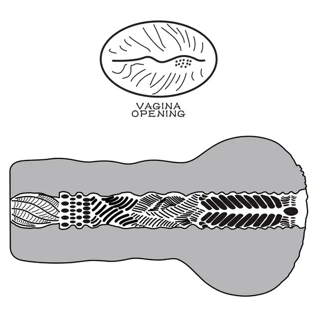 10-LV351021_04