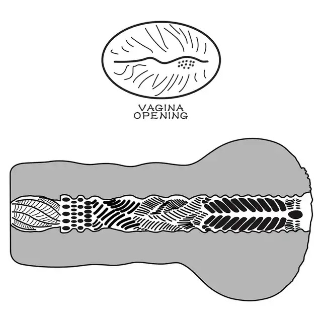 10-LV351021_05