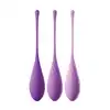 22329_PURPLE_01