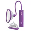 23013_PURPLE_05