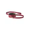 Blaze - Elite Collar And Leash Red. Czerwono-złoty elitarny zestaw BDSM. Obroża i smycz z eko skóry. 