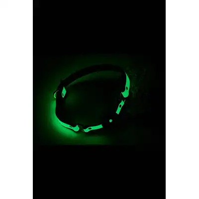 Radiant - Ball Gag Glow In The Dark Green. Knebel w formie silikonowej kulki z zielonym paskiem świecącym w ciemności