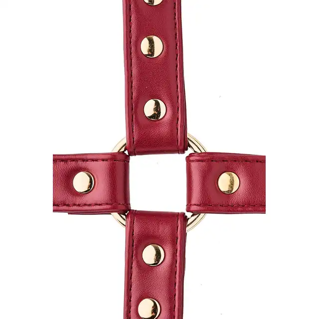 Blaze - Elite Hogtie Red. Czerwona uprząż do krzyżowego wiązania z 4 karabińczykami. Elitarny, ciemnoczerwony odcień sztucznej skóry połączonej ze złotem. 
