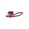 Blaze - Elite Collar And Leash Red. Czerwono-złoty elitarny zestaw BDSM. Obroża i smycz z eko skóry. 