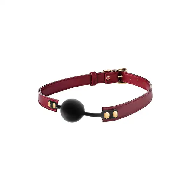 Blaze - Elite BDSM Set Red. Elegancki, 5-częściowy zestaw do BDSM, czerwono-złoty. Luksus i styl. 