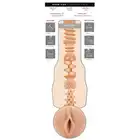 Fleshlight Girls - Kissa Sins Insatiable. Wysokiej klasy masturbator z odlewem waginy ponętnej gwiazdy porno, liczne żłobienia i wypustki