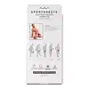 Sportsheets - Saffron Neck&amp;Wrist Restraint. Regulowany zestaw do wiązania z obrożą i kajdankami