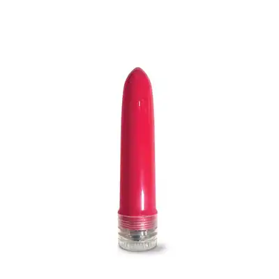 HAPPY ENDING PLEASURE PACKAGE I DIDN'T KNOW YOUR SIZE 4" MULTI-SPEED VIBE