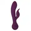 14837_PURPLE_011