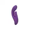 14943_PURPLE_01