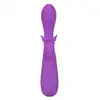 12528_PURPLE_09