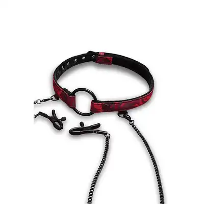 SECRET KISSES ROSEGASM OPEN MOUTH GAG WITH NIPPLE CLIPS