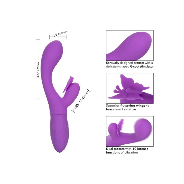 12528_PURPLE_04