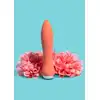 17504_ORANGE_05