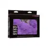 13376_PURPLE_02