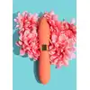 17503_ORANGE_06