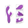 12528_PURPLE_04