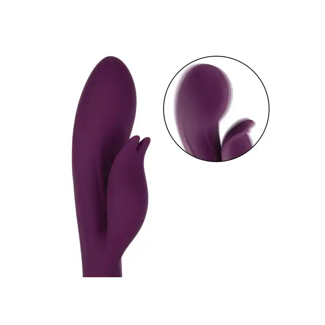 14837_PURPLE_03
