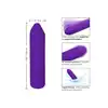 14920_PURPLE_04