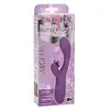 12528_PURPLE_02