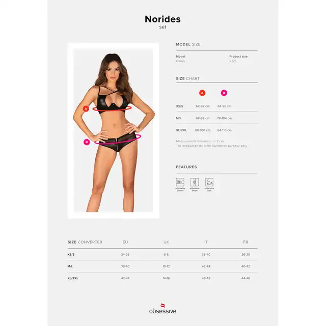 Obsessive - Norides Set XS/S. Komplet seksownej bielizny z pazurem, lśniący biustonosz i figi ze srebrnym zamkiem