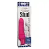 14741_PINK_2