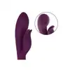 14837_PURPLE_03